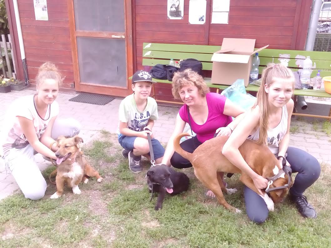 Jubileumi nyílt napot tartott a 25 éves HEROSZ Fehérvári Állatotthona